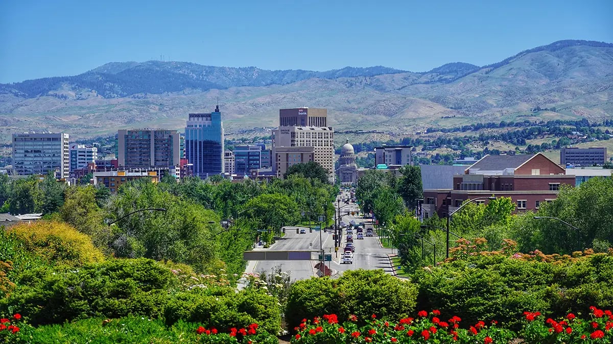 City scape of Boise in background with trees and flowers in foreground